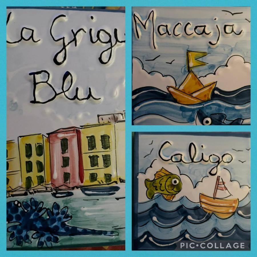 La Grigua Blu Apartment Riomaggiore Luaran gambar
